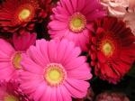 １月１２日は成人の日｜「サワムラ生花店」　（愛知県西尾市の花キューピット加盟店 花屋）のブログ