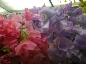 花の香り｜「サワムラ生花店」　（愛知県西尾市の花キューピット加盟店 花屋）のブログ