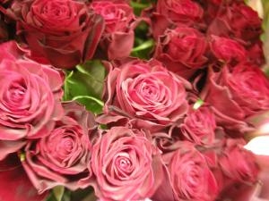 深紅の花をクリスマスに｜「サワムラ生花店」　（愛知県西尾市の花キューピット加盟店 花屋）のブログ