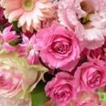 instagramを始めました！｜「サワムラ生花店」　（愛知県西尾市の花キューピット加盟店 花屋）のブログ