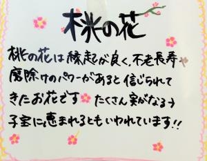 桃の花♪｜「サワムラ生花店」　（愛知県西尾市の花キューピット加盟店 花屋）のブログ