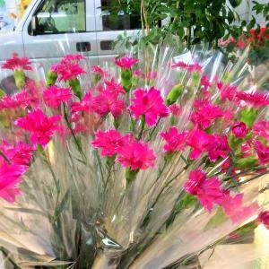 お好きな花を一本単位でラッピングします！｜「サワムラ生花店」　（愛知県西尾市の花キューピット加盟店 花屋）のブログ