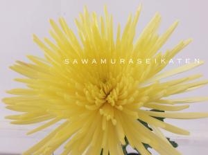今年の十五夜は、10月4日です。｜「サワムラ生花店」　（愛知県西尾市の花キューピット加盟店 花屋）のブログ